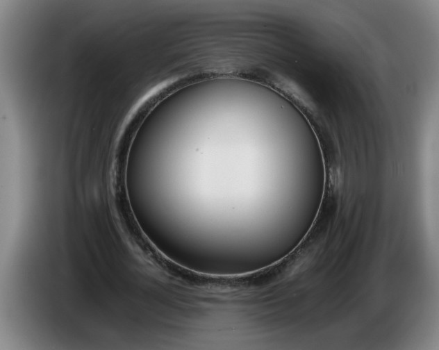 X0000086330724200704202041