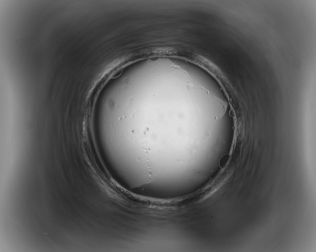 X0000086330725200704202041