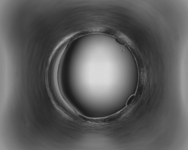 X0000086330726200704202041