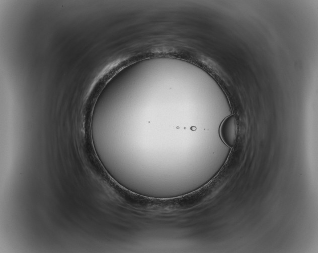 X0000086330727200704202041