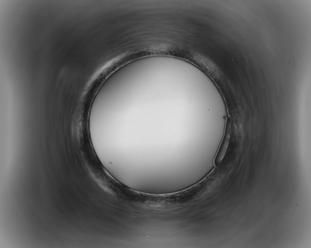 X0000086330728200704202041