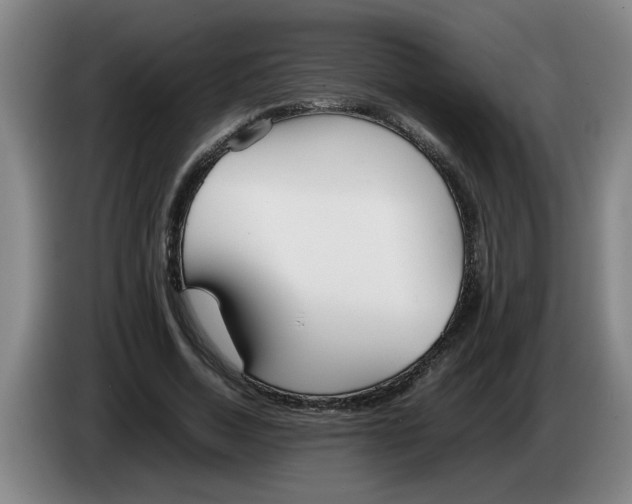 X0000086330730200704202041