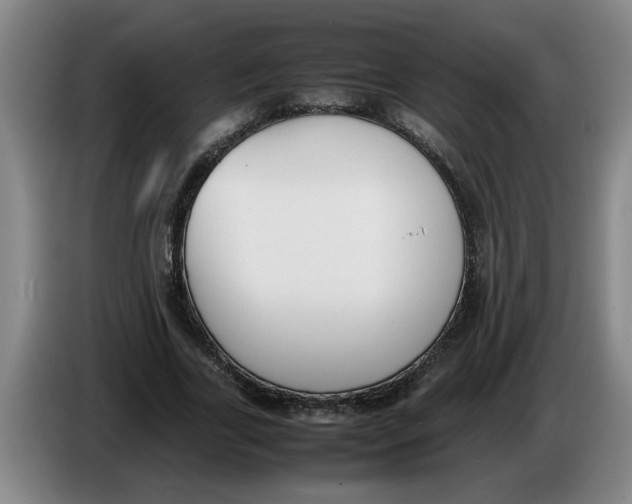 X0000086330731200704202041