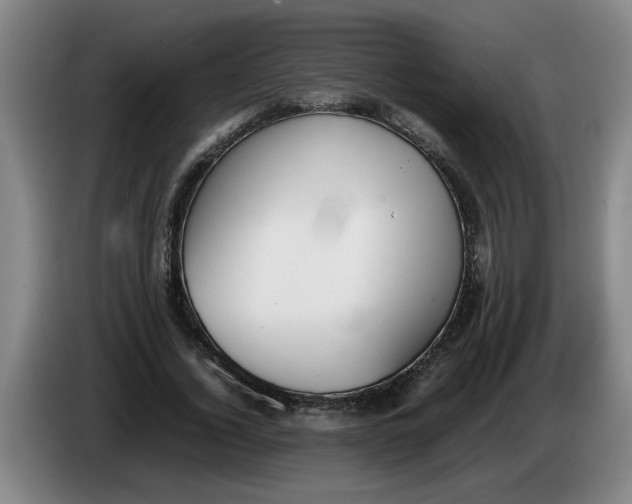 X0000086330732200704202041