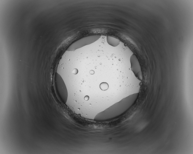 X0000086330733200704202041