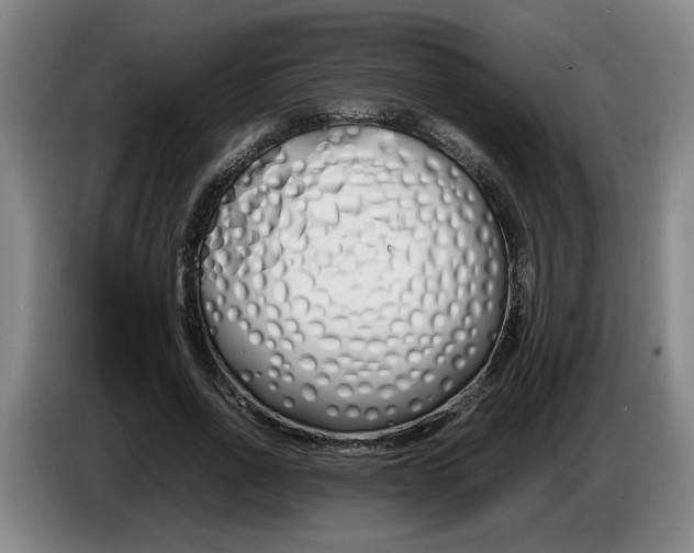 X0000086330734200704202041