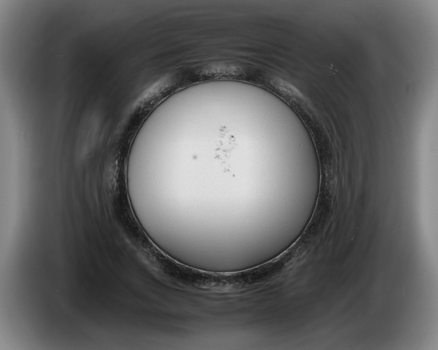 X0000086330735200704202041