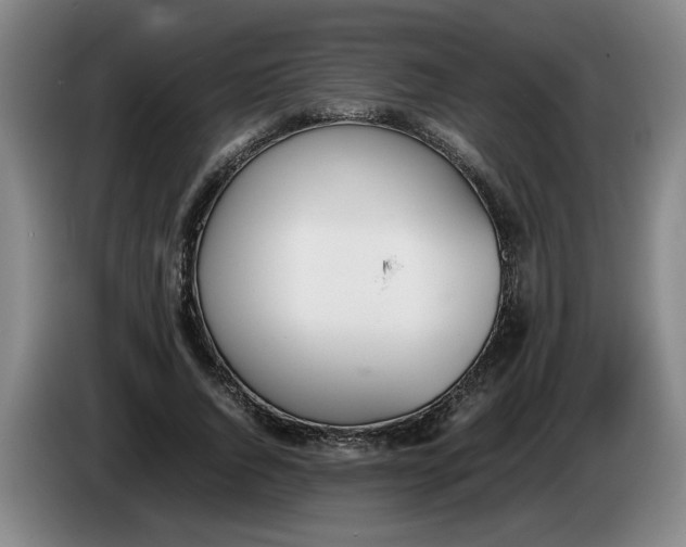 X0000086330736200704202041