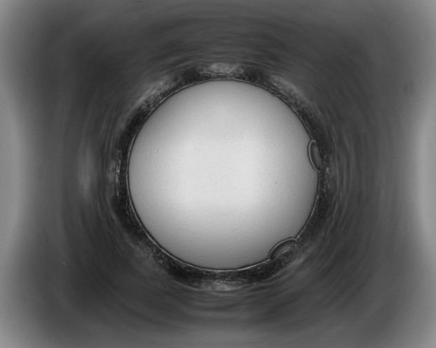 X0000086330739200704202041