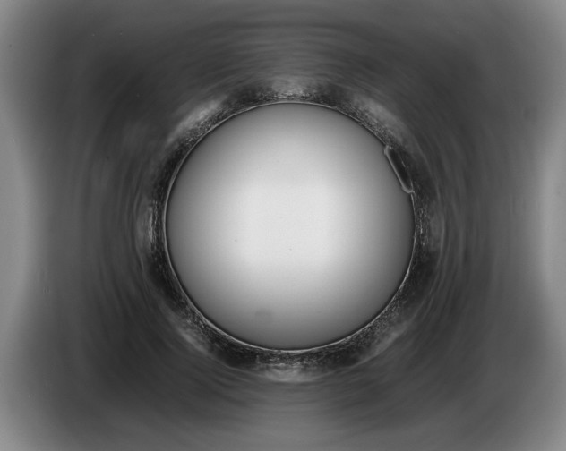 X0000086330740200704202041