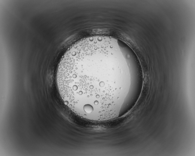 X0000086330741200704202041