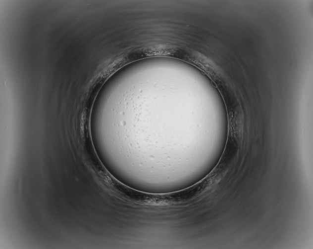 X0000086330742200704202041