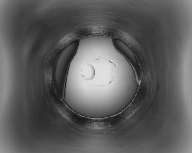 X0000086330744200704202041