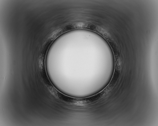 X0000086330746200704202041