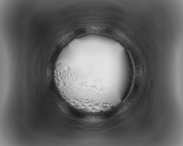 X0000086330749200704202041