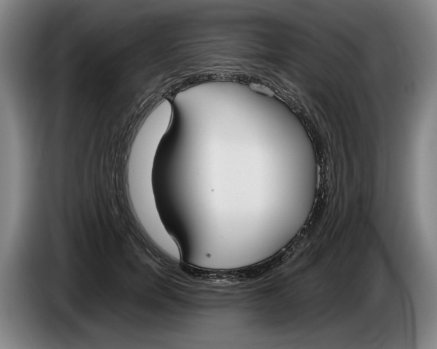 X0000086330750200704202041