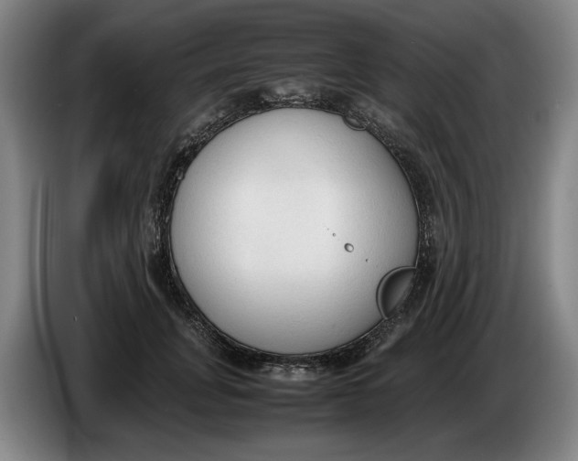 X0000086330751200704202041