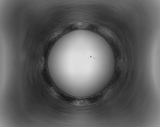 X0000086330752200704202041