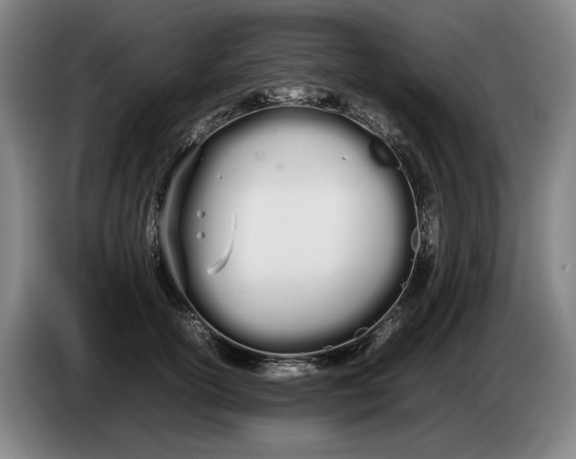 X0000086330754200704202041