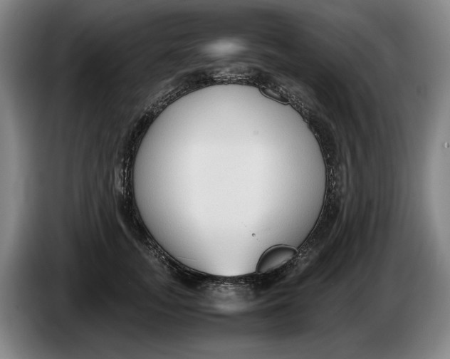 X0000086330755200704202041