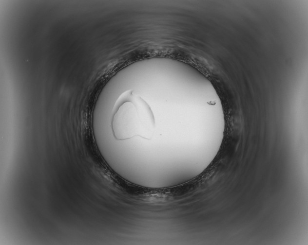 X0000086330756200704202041