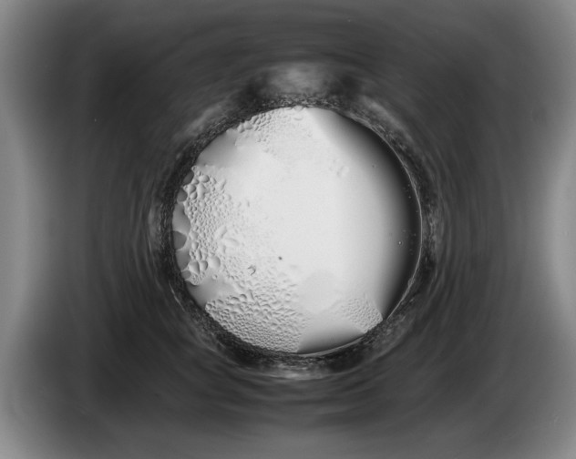 X0000086330757200704202041