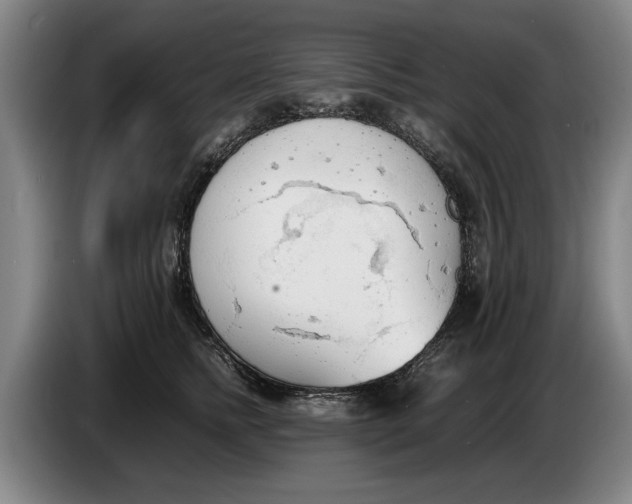 X0000086330758200704202041