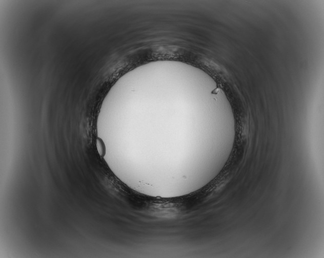 X0000086330759200704202041