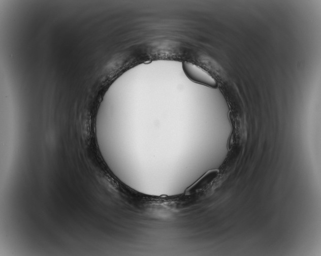 X0000086330760200704202041