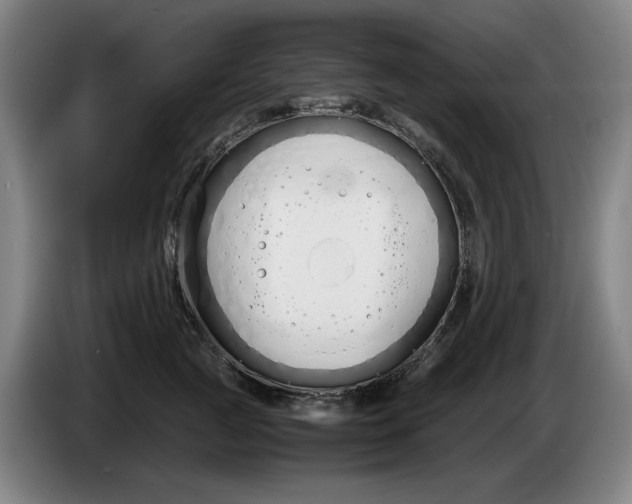 X0000086330761200704202041