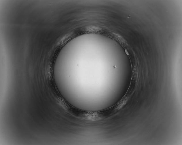 X0000086330762200704202041