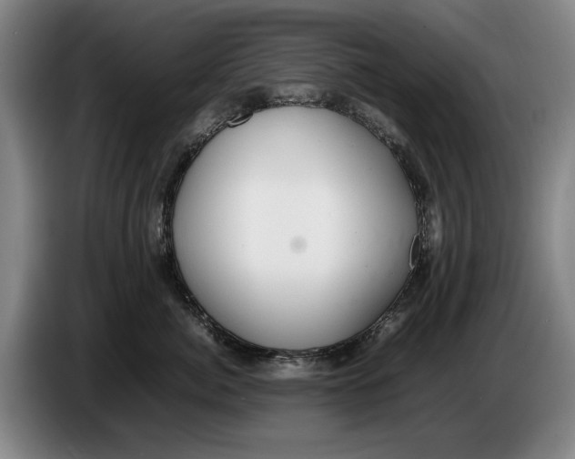 X0000086330764200704202041