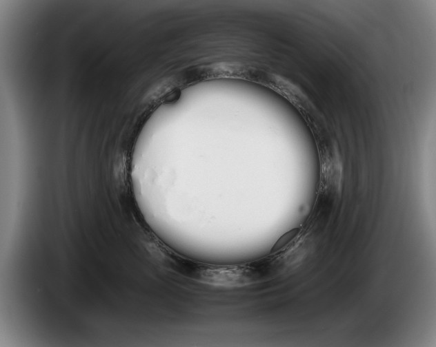 X0000086330765200704202041