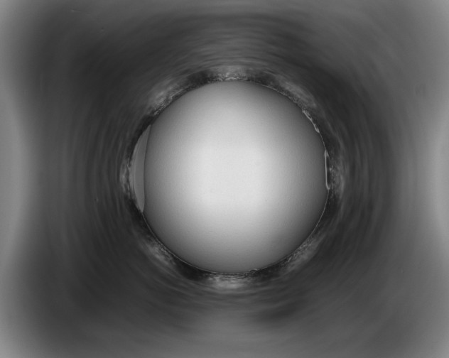 X0000086330766200704202041