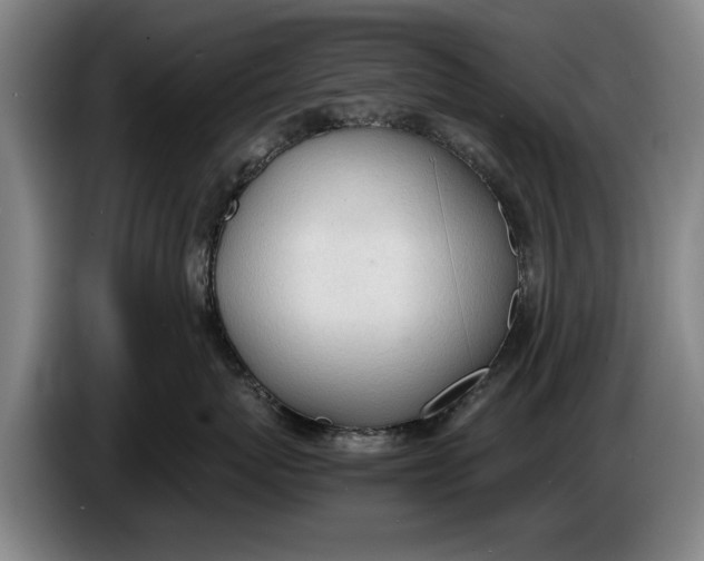 X0000086330767200704202041