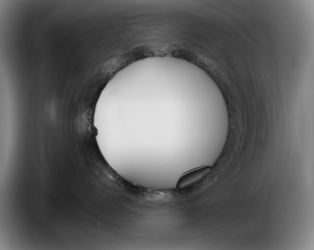 X0000086330768200704202041