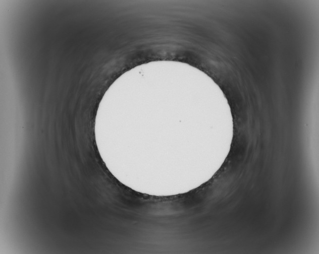 X0000086330769200704202041