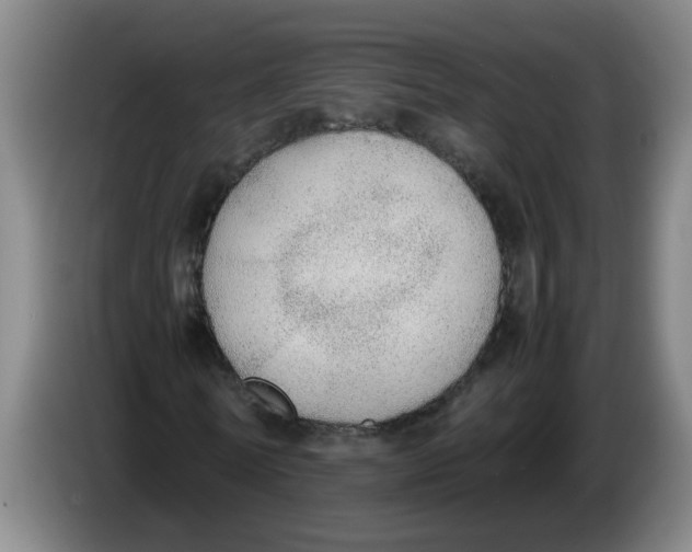 X0000086330770200704202041