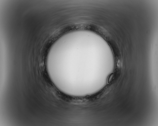 X0000086330771200704202041