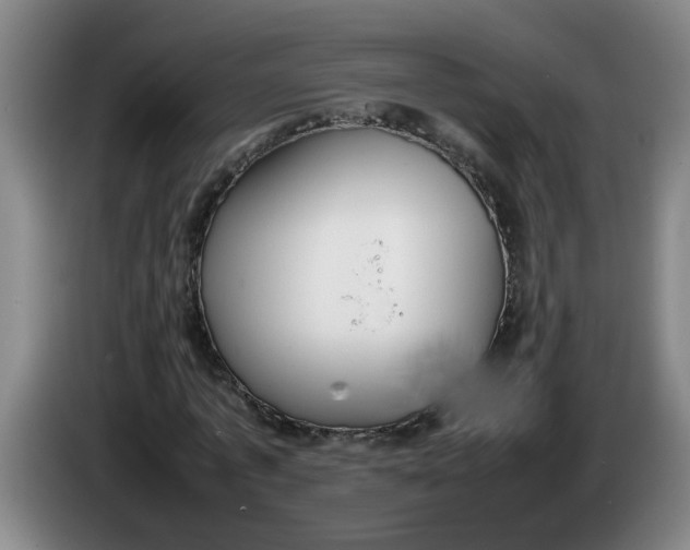 X0000086330773200704202041