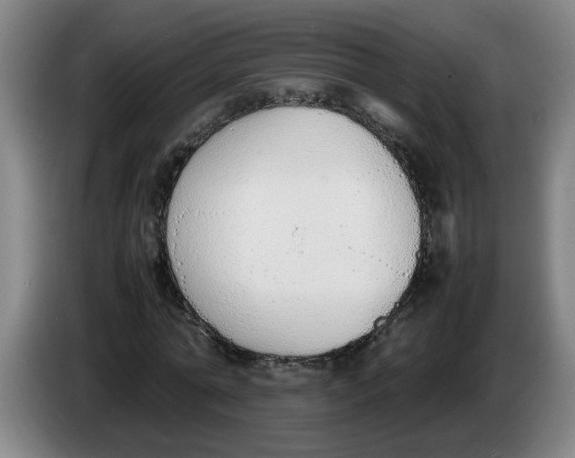 X0000086330774200704202041