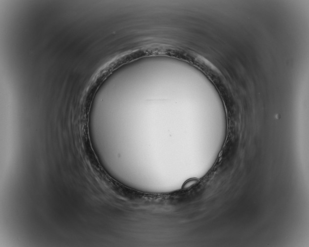 X0000086330775200704202041