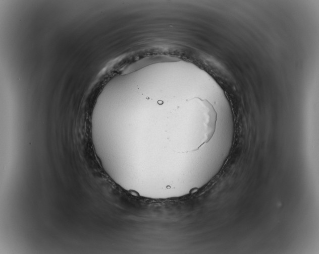 X0000086330776200704202041