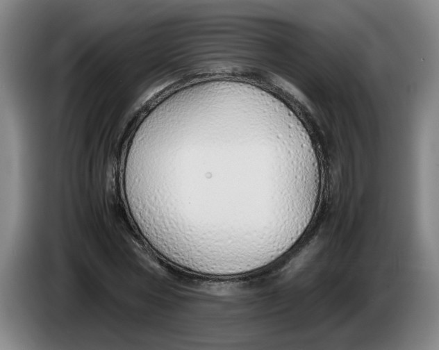 X0000086330778200704202040