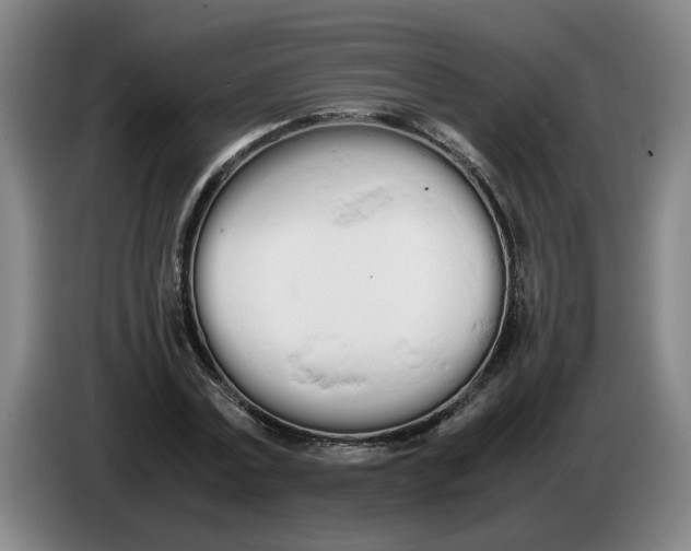 X0000086330779200704202040