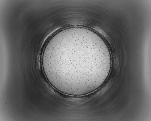 X0000086330782200704202040