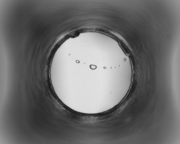 X0000086330783200704202040