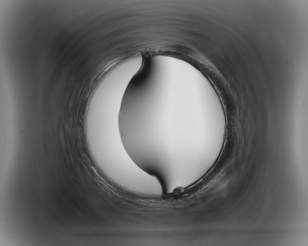 X0000086330785200704202040