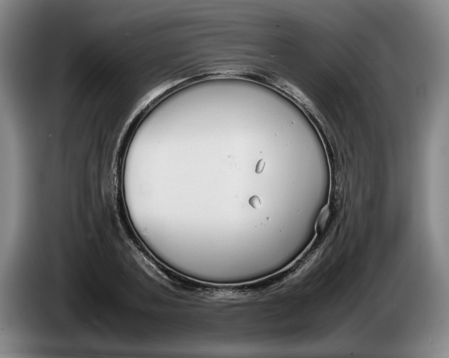 X0000086330787200704202040