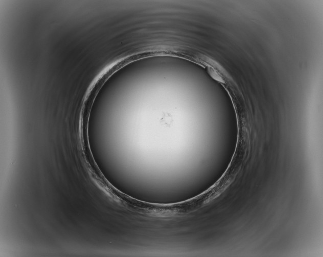 X0000086330788200704202040